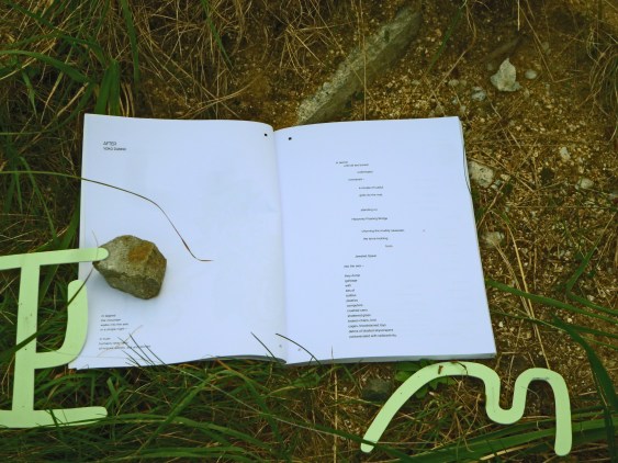 YokoDannoaglimpseofAfter