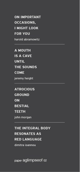 aglimpseof02-teasersEN2