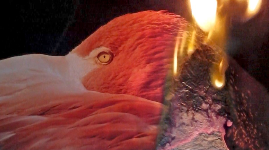 Video still from It Will Be a While Yet by Sofia Simaki.