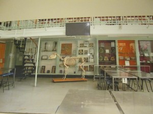 LilaMatsumoto January 2016 i