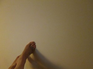 LilaMatsumoto January 2016 iii