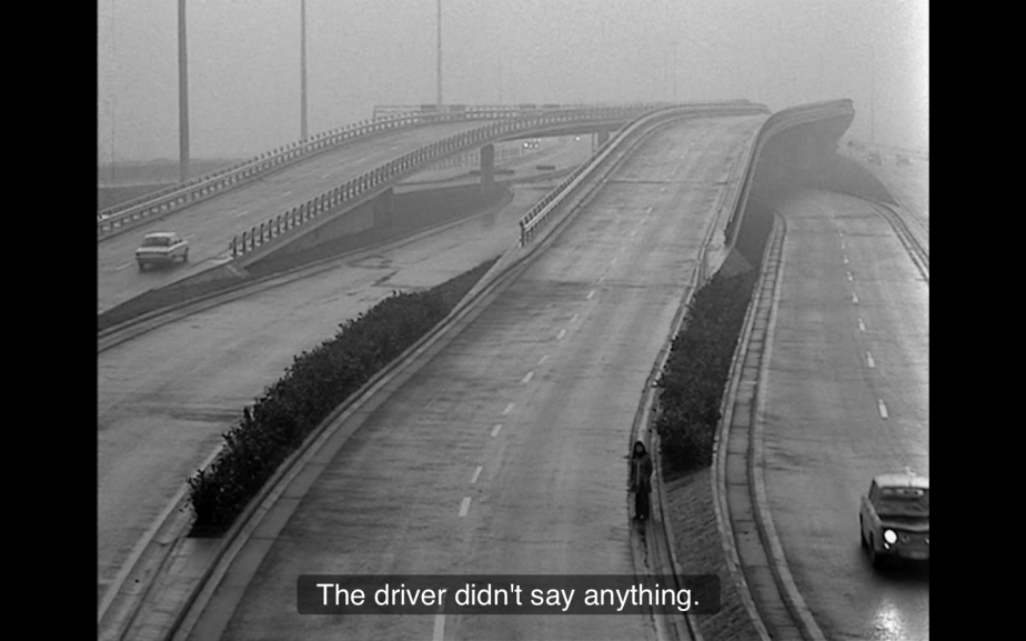 Sophie Mayer Akerman 8