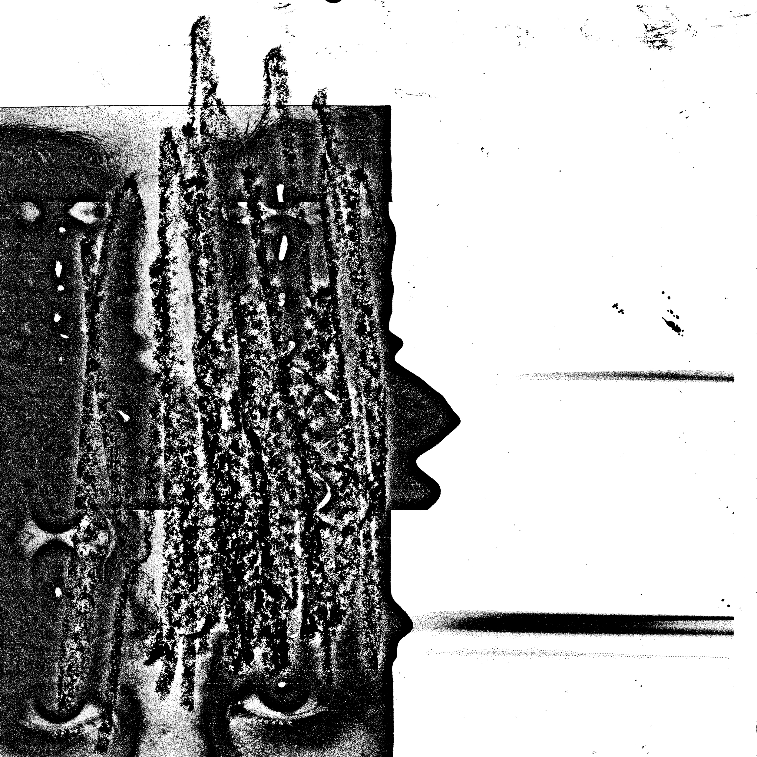 2 | Logan Benedict | Reactive wilderness